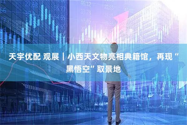 天宇优配 观展｜小西天文物亮相典籍馆，再现“黑悟空”取景地