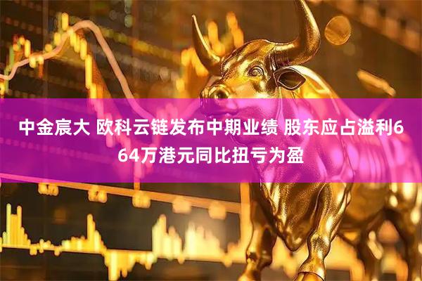 中金宸大 欧科云链发布中期业绩 股东应占溢利664万港元同比扭亏为盈