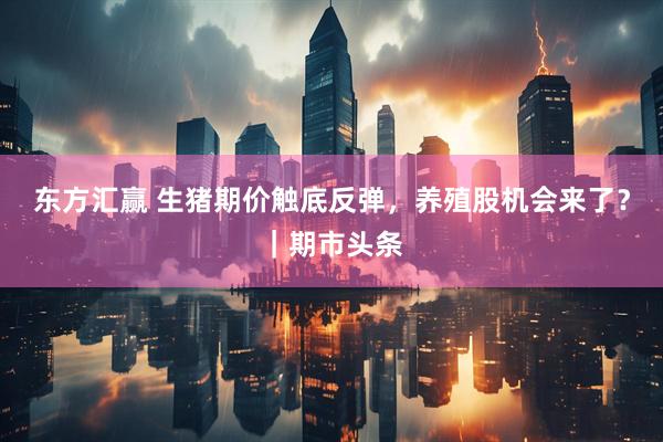 东方汇赢 生猪期价触底反弹，养殖股机会来了？｜期市头条